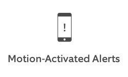 Motion Activated Alerts